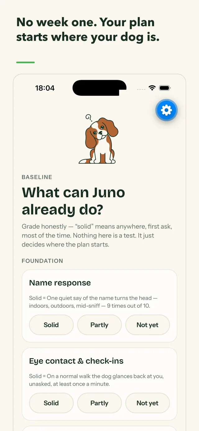 The assessment: what can your dog already do